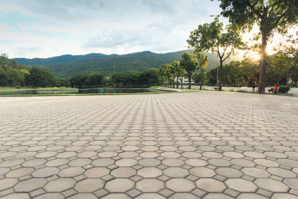 Best Residential Paver Driveway  in Stone Ridge, VA